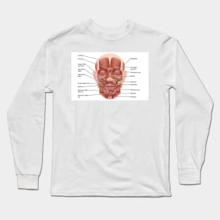 Face muscle anatomy, illustration (C046/1440) Long Sleeve T-Shirt